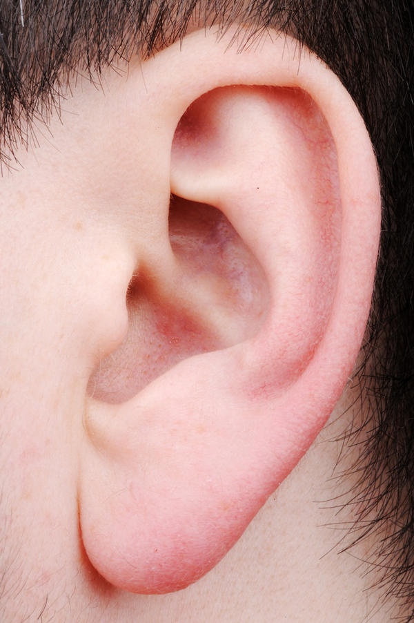 Ear